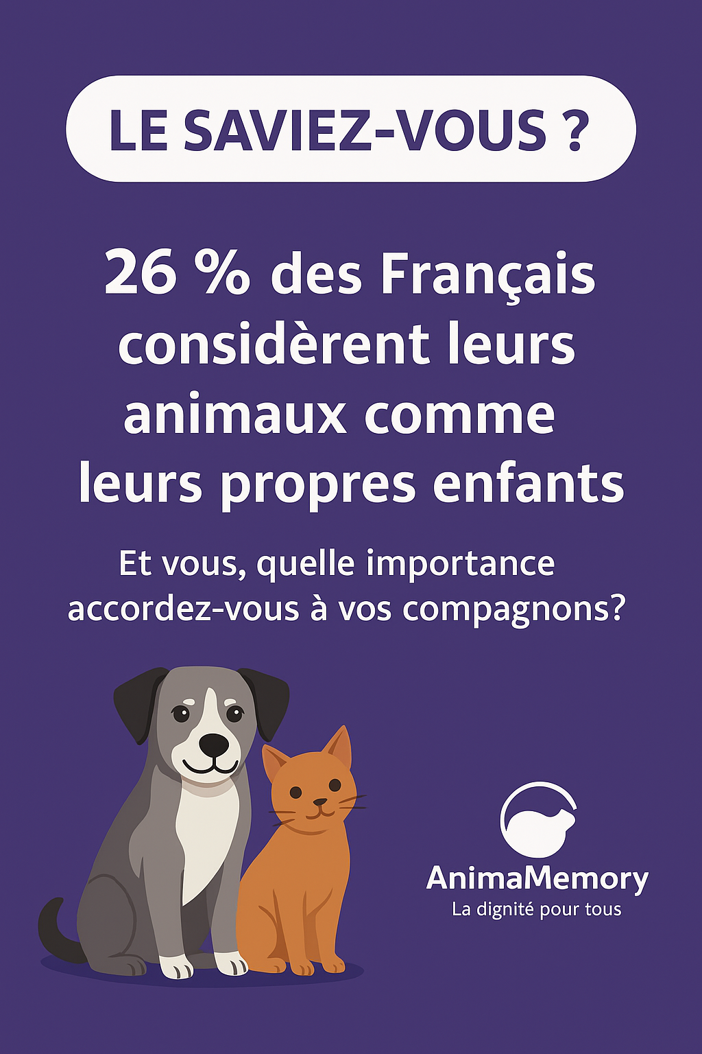 Conseils Anima Memory